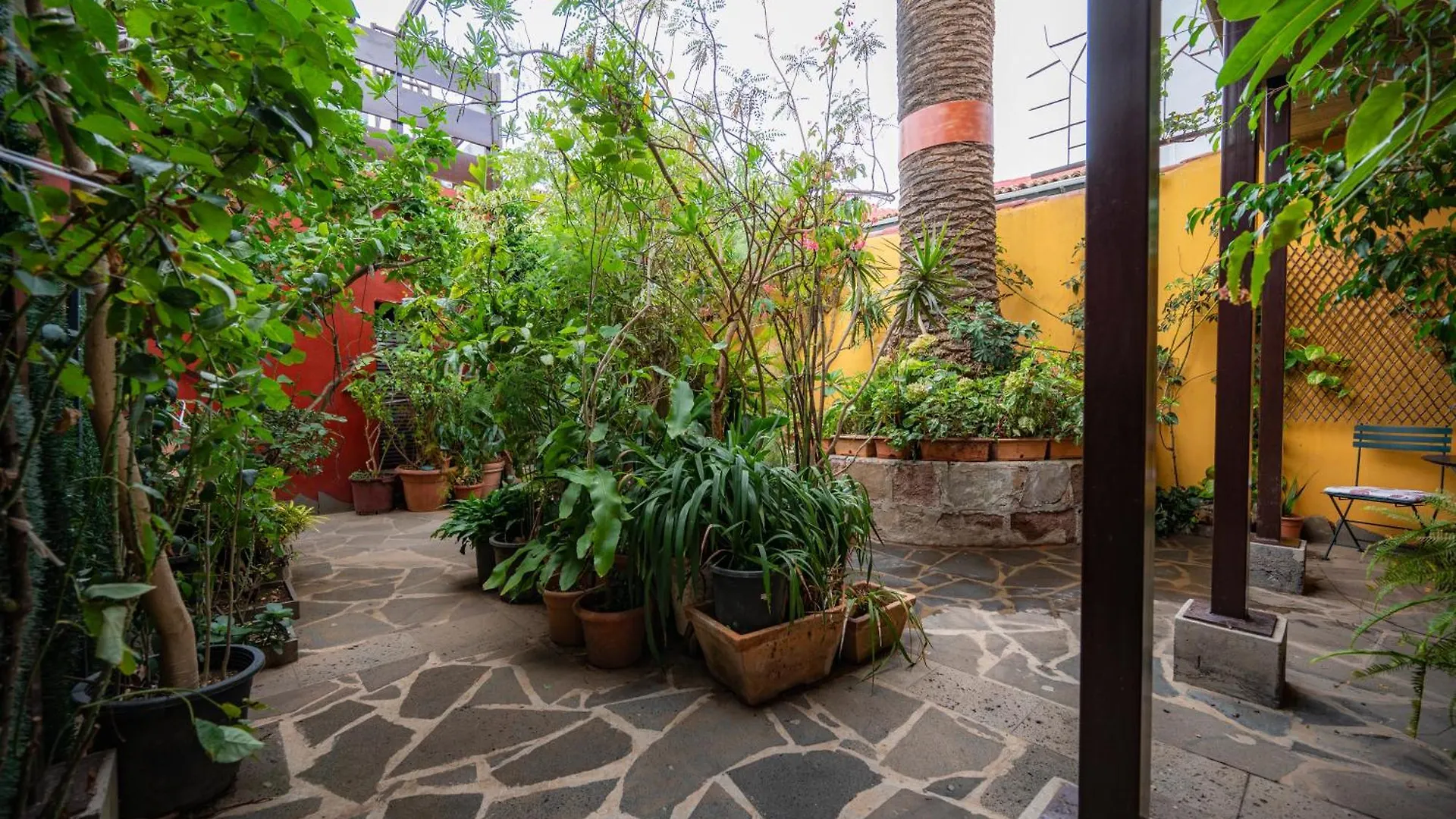 Casa di campagna Affittacamere La Asomada del Gato La Laguna