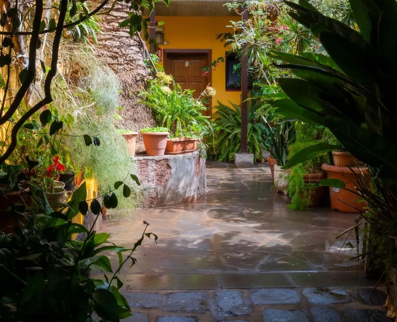 Affittacamere La Asomada del Gato La Laguna  Casa di campagna La Laguna (Tenerife)